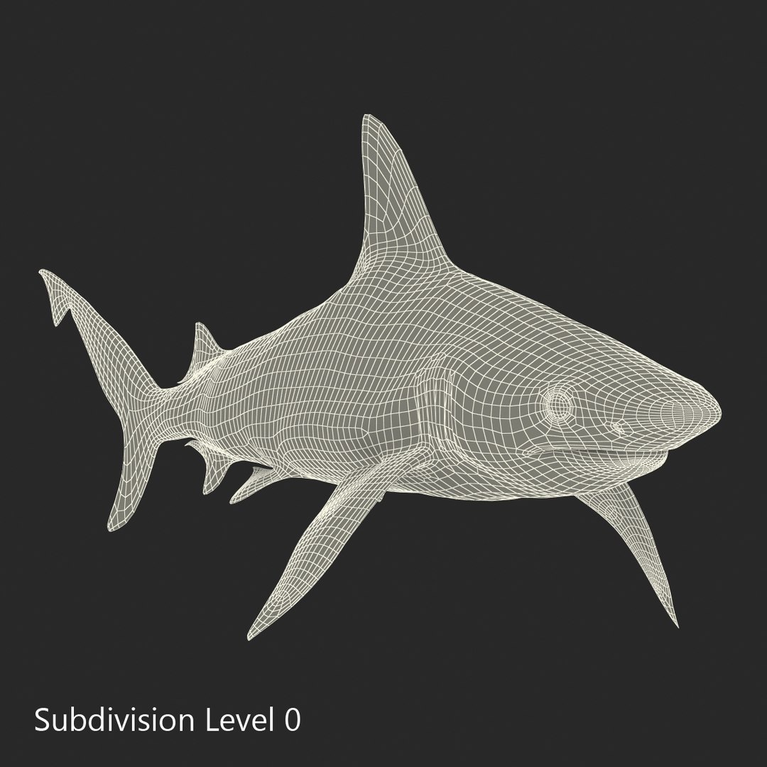3D sharks rigged 9 https://p.turbosquid.com/ts-thumb/P0/YQIDU6/KXfVDI4m/sharkscollection3dmodels142/jpg/1465305618/1920x1080/fit_q87/92a5447564ea62af26f07a8f3b7a3845539069ad/sharkscollection3dmodels142.jpg