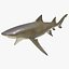 Sharks Rigged Collection 9 per Cinema 4D