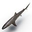 Sharks Rigged Collection 9 per Cinema 4D