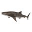 Sharks Rigged Collection 9 per Cinema 4D