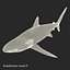 Sharks Rigged Collection 9 per Cinema 4D