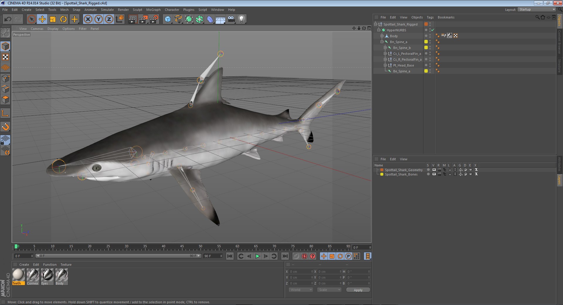 3D sharks rigged 9 https://p.turbosquid.com/ts-thumb/P0/YQIDU6/MpsvOEH2/spottailsharkriggedcinema4d3dmodel16/jpg/1582543853/1920x1080/fit_q87/be48f962a3afeb89ea4e3dc6d0a595a91e211b7b/spottailsharkriggedcinema4d3dmodel16.jpg