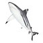 Sharks Rigged Collection 9 per Cinema 4D