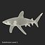 Sharks Rigged Collection 9 per Cinema 4D