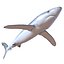 Sharks Rigged Collection 9 per Cinema 4D