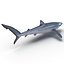 Sharks Rigged Collection 9 per Cinema 4D