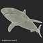 Sharks Rigged Collection 9 per Cinema 4D