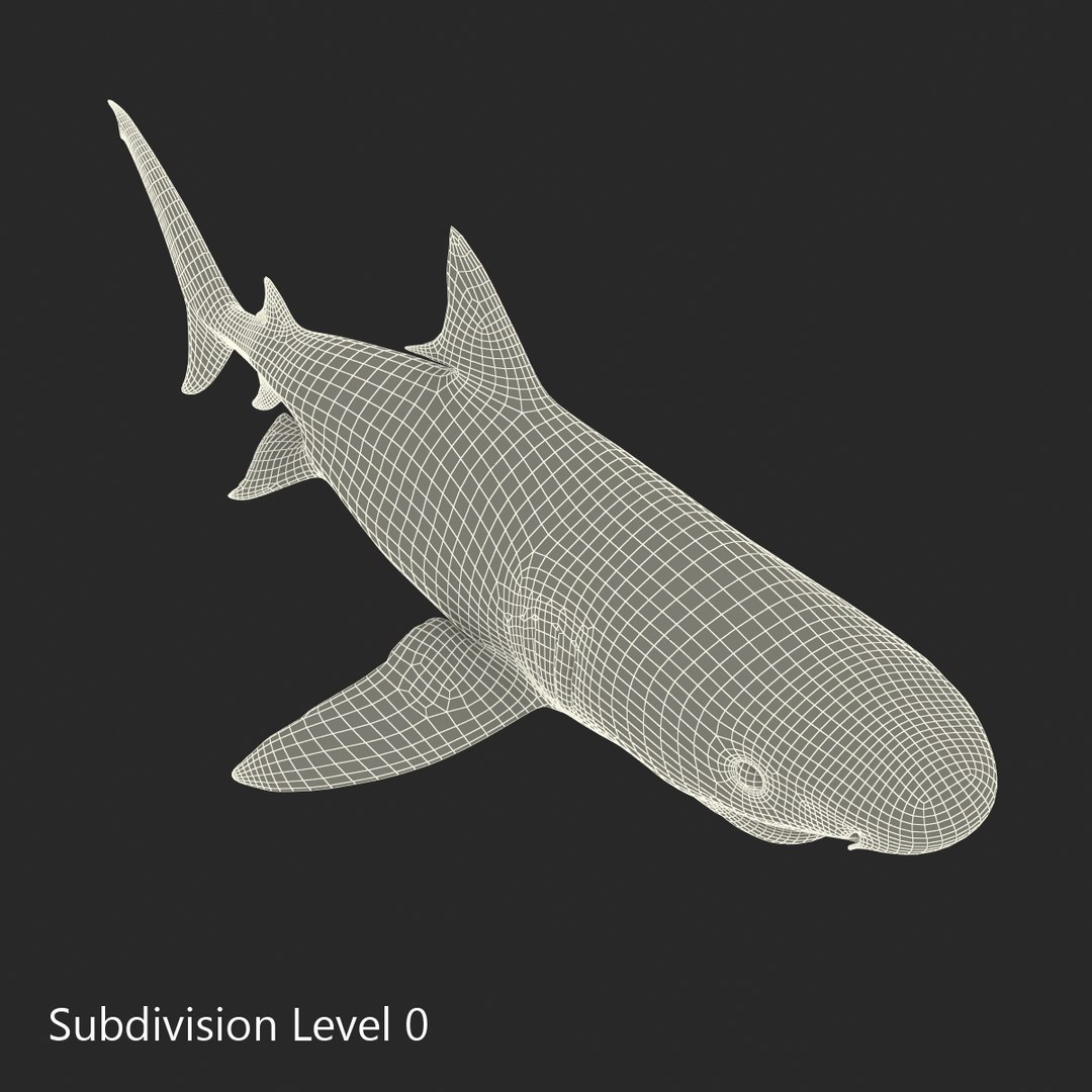 3D sharks rigged 9 https://p.turbosquid.com/ts-thumb/P0/YQIDU6/Oeke5zv3/sharkscollection3dmodels180/jpg/1465305624/1920x1080/fit_q87/e68627f509caed696d36fed4e3b30fd6a732d737/sharkscollection3dmodels180.jpg