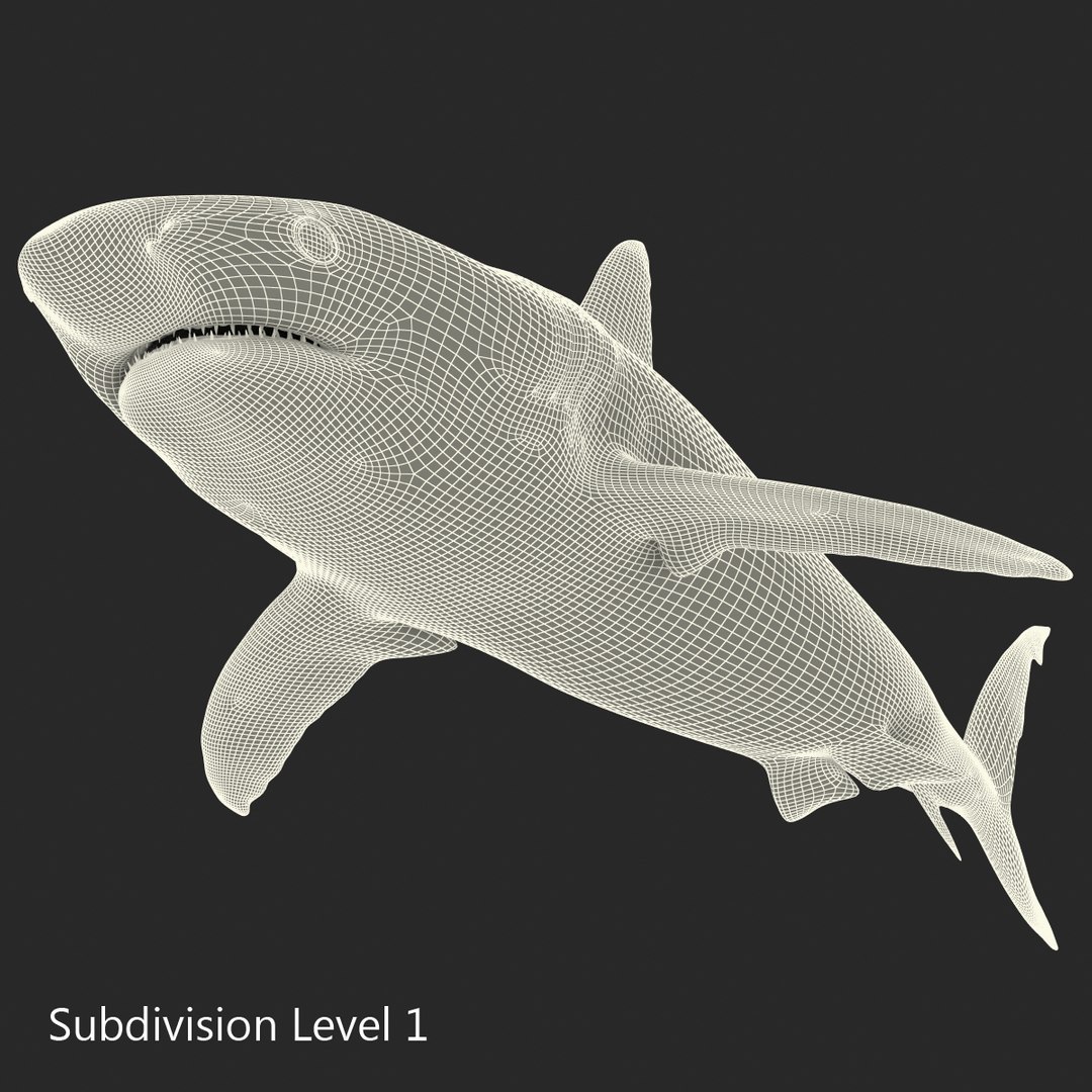 3D sharks rigged 9 https://p.turbosquid.com/ts-thumb/P0/YQIDU6/Q1xKLNt6/sharkscollection3dmodels149/jpg/1465305619/1920x1080/fit_q87/f0db3bb9458a74e7056a2d0be99ea1a81a9c538f/sharkscollection3dmodels149.jpg