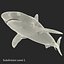 Sharks Rigged Collection 9 per Cinema 4D