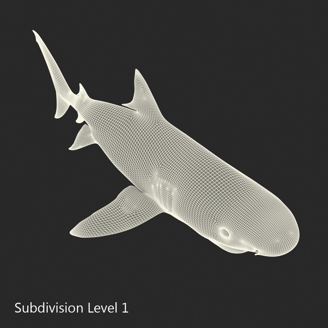 3D sharks rigged 9 https://p.turbosquid.com/ts-thumb/P0/YQIDU6/QpHqtZUm/sharkscollection3dmodels181/jpg/1465305624/1920x1080/fit_q87/9de077704fbd92476f842f20696156752788acd7/sharkscollection3dmodels181.jpg