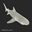 Sharks Rigged Collection 9 per Cinema 4D