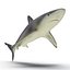 Sharks Rigged Collection 9 per Cinema 4D