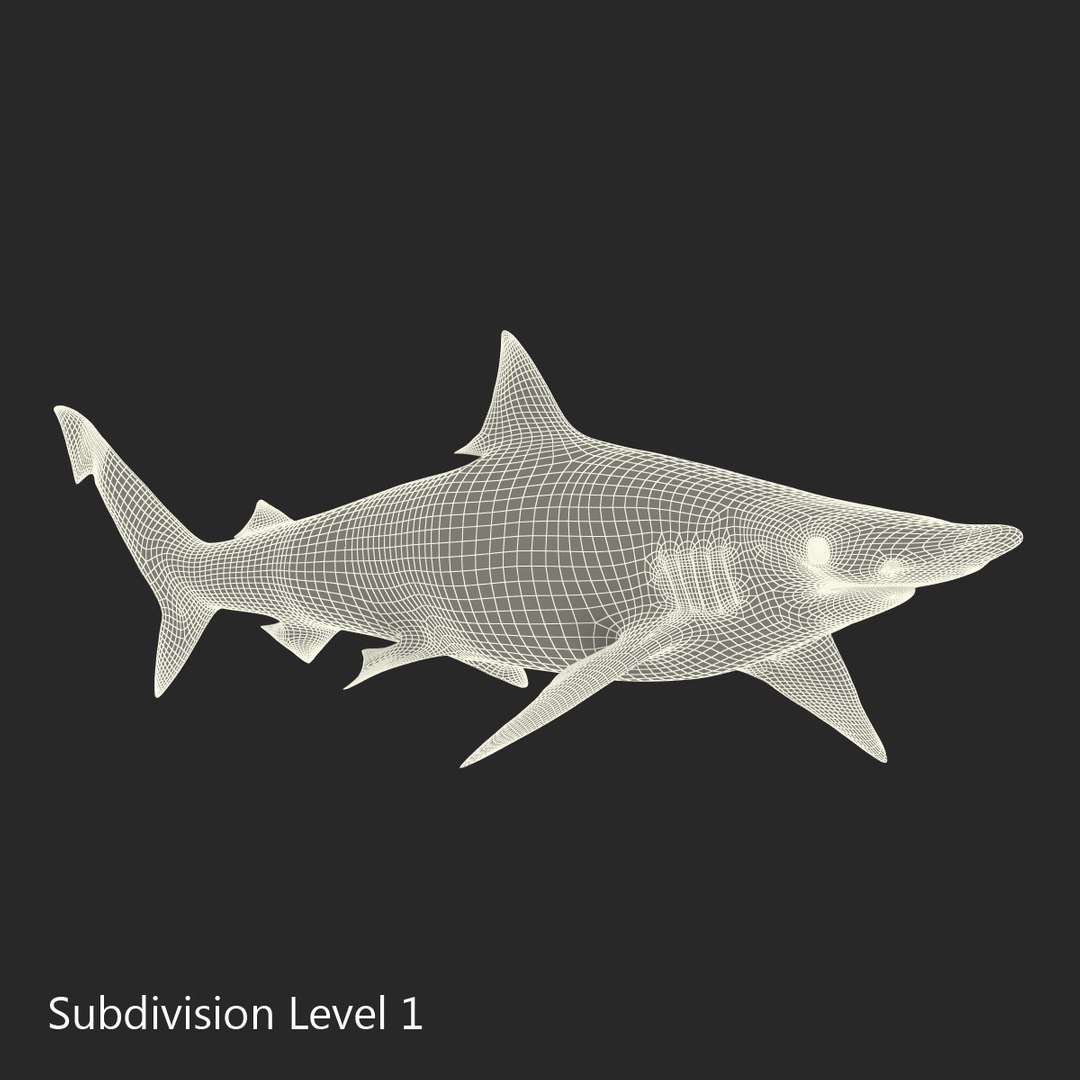 3D sharks rigged 9 https://p.turbosquid.com/ts-thumb/P0/YQIDU6/RASfN6gn/sharkscollection3dmodels177/jpg/1465305624/1920x1080/fit_q87/c3c14679d6513b6b6ed910acd7919d6f2bdb65a2/sharkscollection3dmodels177.jpg