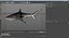 Sharks Rigged Collection 9 per Cinema 4D