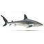 Sharks Rigged Collection 9 per Cinema 4D