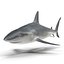 Sharks Rigged Collection 9 per Cinema 4D
