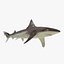 Sharks Rigged Collection 9 per Cinema 4D