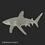 Sharks Rigged Collection 9 per Cinema 4D