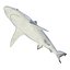 Sharks Rigged Collection 9 per Cinema 4D