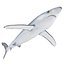 Sharks Rigged Collection 9 per Cinema 4D