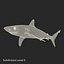 Sharks Rigged Collection 9 per Cinema 4D