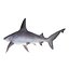 Sharks Rigged Collection 9 per Cinema 4D