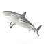 Sharks Rigged Collection 9 per Cinema 4D
