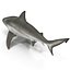 Sharks Rigged Collection 9 per Cinema 4D