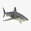 Sharks Rigged Collection 9 per Cinema 4D