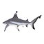 Sharks Rigged Collection 9 per Cinema 4D