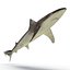 Sharks Rigged Collection 9 per Cinema 4D