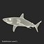 Sharks Rigged Collection 9 per Cinema 4D