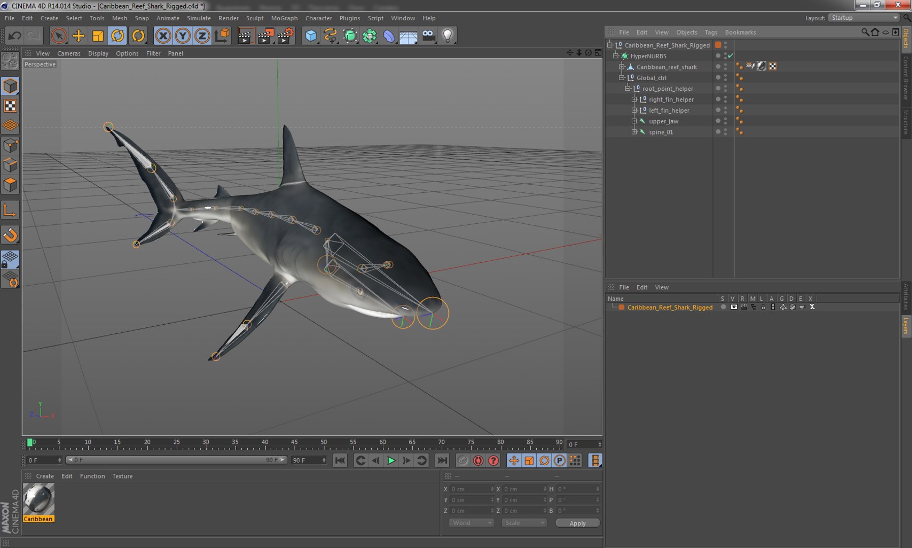 3D sharks rigged 9 https://p.turbosquid.com/ts-thumb/P0/YQIDU6/YZoRvx4i/caribbeanreefsharkriggedcinema4d3dmodel29/jpg/1582543852/1920x1080/fit_q87/e8782f69b14abc5fa9e272303b555e081e8b3e16/caribbeanreefsharkriggedcinema4d3dmodel29.jpg