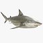 Sharks Rigged Collection 9 per Cinema 4D