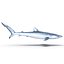 Sharks Rigged Collection 9 per Cinema 4D