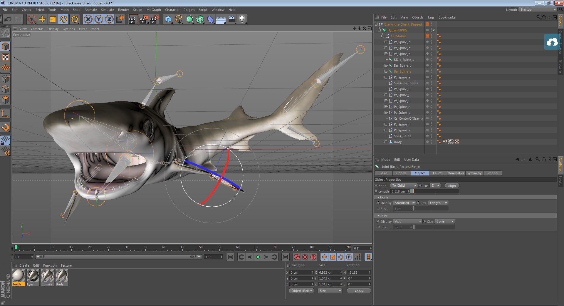 3D sharks rigged 9 https://p.turbosquid.com/ts-thumb/P0/YQIDU6/YxmAnbcb/blacknosesharkriggedcinema4d3dmodel25/jpg/1582543852/1920x1080/fit_q87/c7a07f227f8ca38a245e173d8fe59b9c386aa290/blacknosesharkriggedcinema4d3dmodel25.jpg