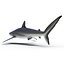 Sharks Rigged Collection 9 per Cinema 4D
