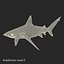 Sharks Rigged Collection 9 per Cinema 4D