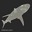 Sharks Rigged Collection 9 per Cinema 4D