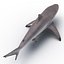 Sharks Rigged Collection 9 per Cinema 4D