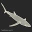 Sharks Rigged Collection 9 per Cinema 4D