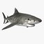 Sharks Rigged Collection 9 per Cinema 4D