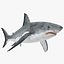 Sharks Rigged Collection 9 per Cinema 4D