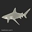 Sharks Rigged Collection 9 per Cinema 4D
