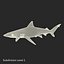 Sharks Rigged Collection 9 per Cinema 4D