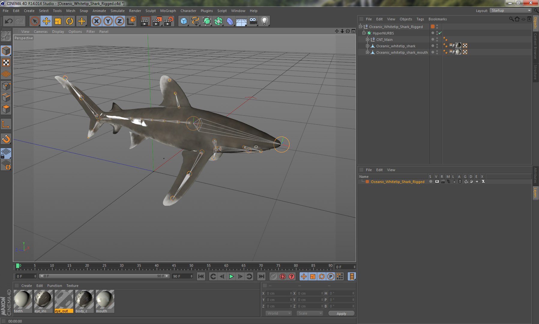 3D sharks rigged 9 https://p.turbosquid.com/ts-thumb/P0/YQIDU6/eJUEOLpQ/oceanicwhitetipsharkriggedcinema4d3dmodel27/jpg/1582543852/1920x1080/fit_q87/5e7a80fa8c4ab88747110774c8ac408845bc6e0d/oceanicwhitetipsharkriggedcinema4d3dmodel27.jpg
