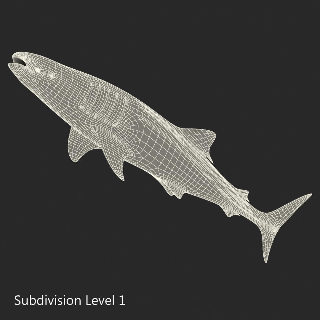 3D sharks rigged 9 https://p.turbosquid.com/ts-thumb/P0/YQIDU6/eNXQrgL3/sharkscollection3dmodels183/jpg/1465305625/1920x1080/fit_q87/7a9e23df42bb315c98ee9e112ac65102d2f5e19e/sharkscollection3dmodels183.jpg