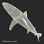 Sharks Rigged Collection 9 per Cinema 4D
