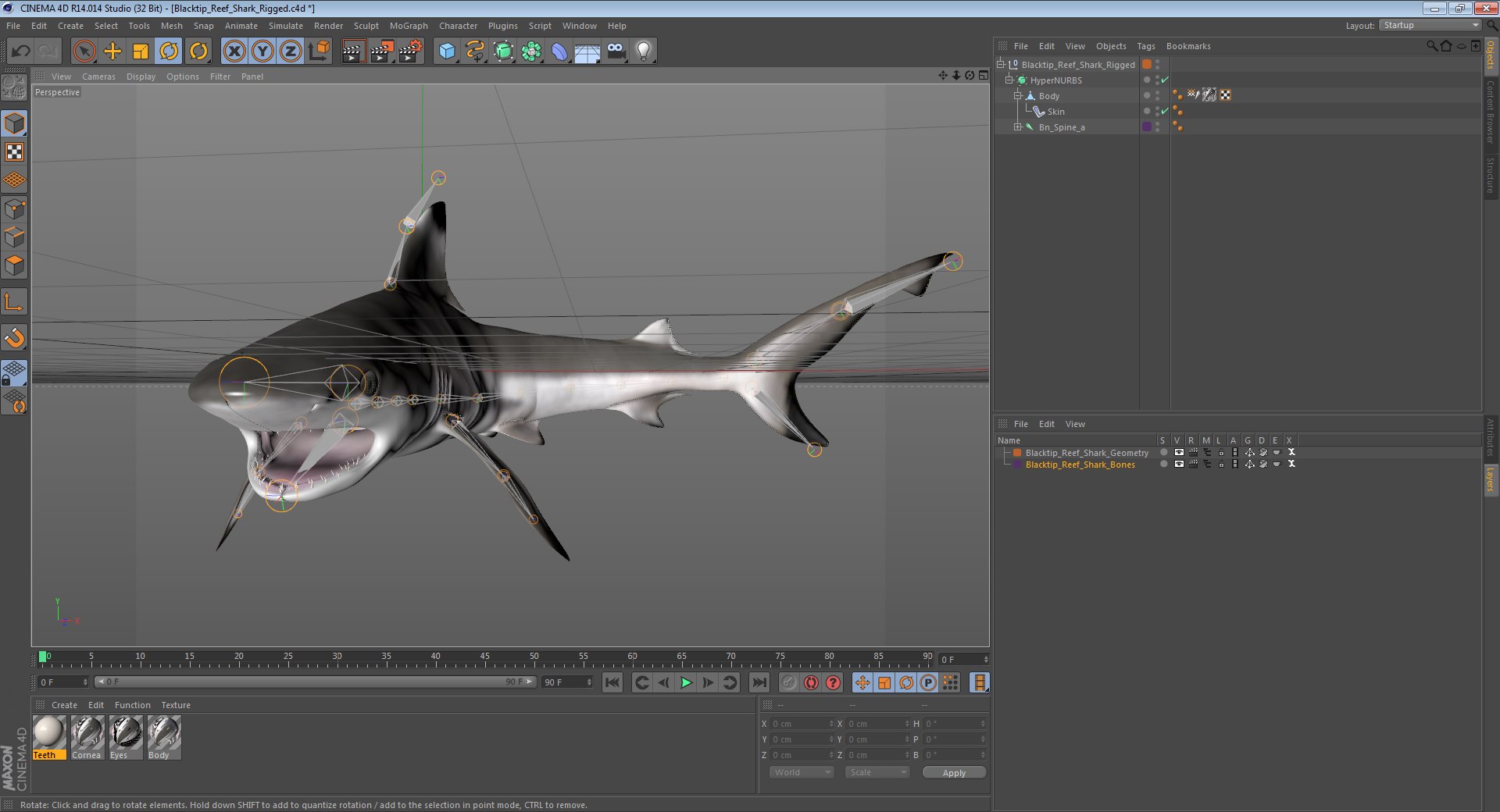 3D sharks rigged 9 https://p.turbosquid.com/ts-thumb/P0/YQIDU6/gWMazzxQ/blacktipreefsharkriggedcinema4d3dmodel24/jpg/1582543852/1920x1080/fit_q87/f6585071e4297b7933b70ea5103ee93c11ec5548/blacktipreefsharkriggedcinema4d3dmodel24.jpg
